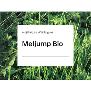 Einjähriges Weidelgras Saatgut Meljump (tetraploid) ZS Bio