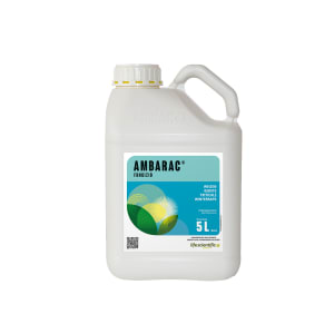 AMBARAC 5 l Kanister