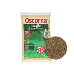 Oscorna® Rasaflor fein organischer NPK 8+4+0.5 Langzeitdünger mit Spurenelementen, ideal für Rasen Neuansaaten 2,5 kg Beutel Pulver Oscorna® Rasaflor fein organischer NPK 8+4+0.5 Langzeitdünger mit Spurenelementen, ideal für Rasen Neuansaaten 2,5 kg Beutel Pulver