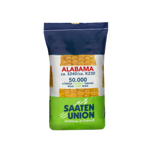 Mais-Saatgut Saaten Union ALABAMA (ca. S 240 ca. K 230)