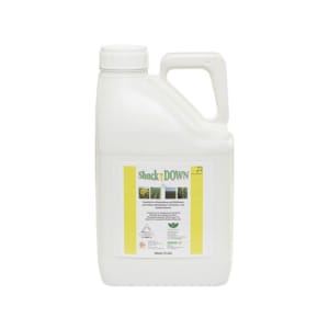 Shock DOWN EC 1 l Flasche Shock DOWN EC 1 l Flasche