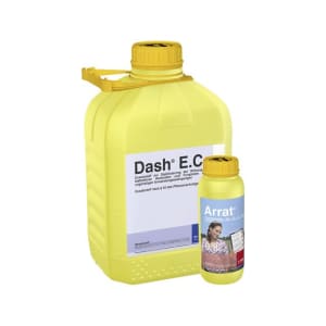 BASF Arrat + Dash E.C. 6 l VK-Set