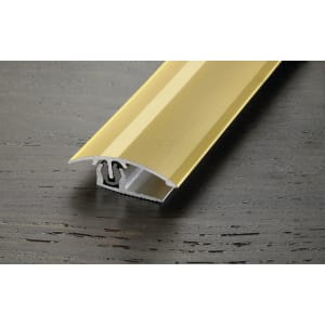 Proline PROVARIO Universal Anpassungsprofil 2-18mm, Aluminium eloxiert Proline PROVARIO Universal Anpassungsprofil 2-18mm, Aluminium eloxiert