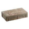 casafino Pflaster Linear muschelkalk nuanciert 21 x 35 x 8 cm