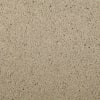 casafino Pflastersteine Beton Satinato, Beige satiniert 8 cm