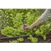 GARDENA Micro-Drip-System T-Stück für Sprühdüsen  Länge:80 mm 1/2"; 13 mm  13206-20