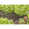 GARDENA Micro-Drip-System T-Stück 4,6mm (3/16")  Länge:36 mm 3/16" Bewässerung 13211-20