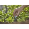 GARDENA Micro-Drip-System Endkleinflächendüse   Bewässerung für Pflanzflächen 13306-20