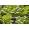 GARDENA Micro-Drip-System Endstreifendüse   Bewässerung für Pflanzflächen 13318-20