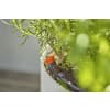 GARDENA Tropfbewässerung Set Balkon (15 Pflanzen)    13401-20