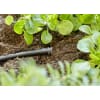 Gardena Micro-Drip-System Verschlussstopfen 4,6 mm    Bewässerung 13215-20