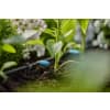 GARDENA Micro-Drip-System Regulierbarer Reihentropfer  10x regulierbare Reihentropfer; 1x Verschlusskappe   13315-20