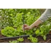 GARDENA Micro-Drip-System Verlängerungsrohr für Sprühdüsen    Bewässerung für Pflanzflächen 13326-20