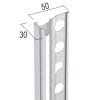 Protektor Abschlussprofil für Wärmedämmputz 30 mm