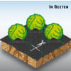 Beco Gardencover Unkrautabdeckgewebe 100 g/m², 1,05x25m