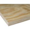Sperrholzplatte Birke Film/Film BFU100 15-fach 2.500 x 1.250 mm Stärke 21 mm
