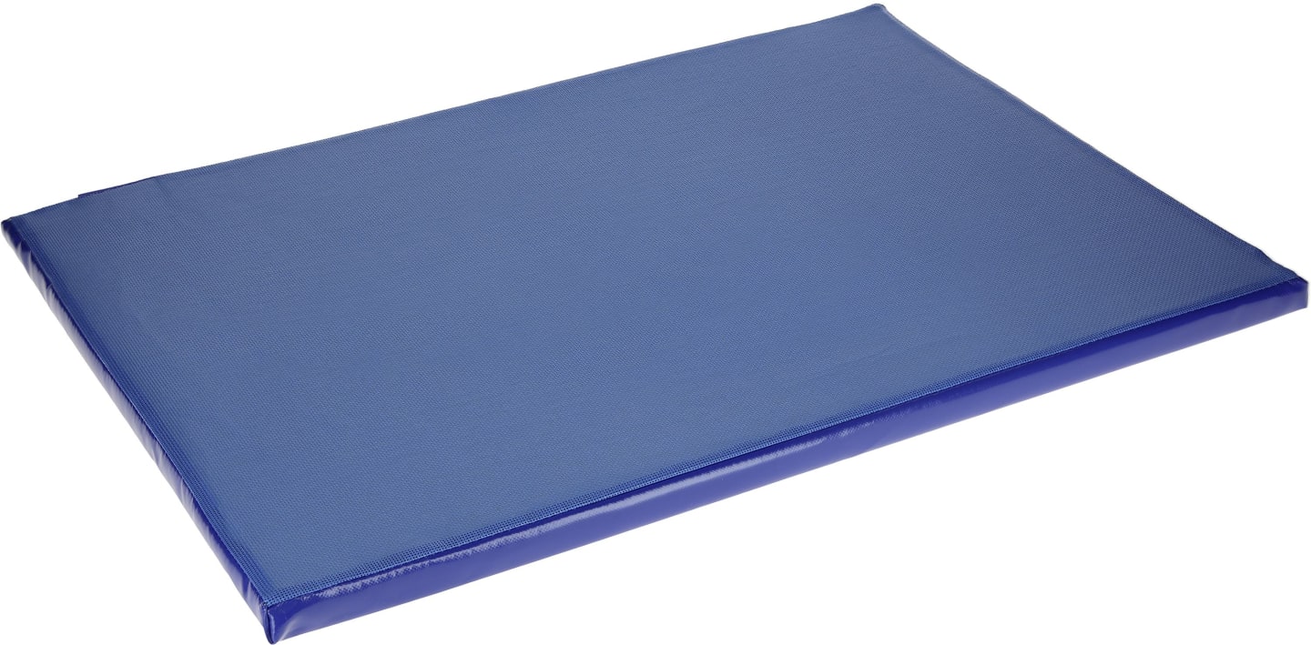 KERBL Desinfektionsmatte 8 l, 850 x 600 x 30 mm, blau, 16413
