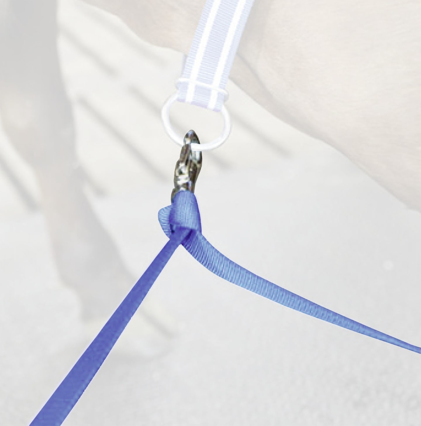 DeLaval Bodenriemen 80 cm, für Rinder, 87284801