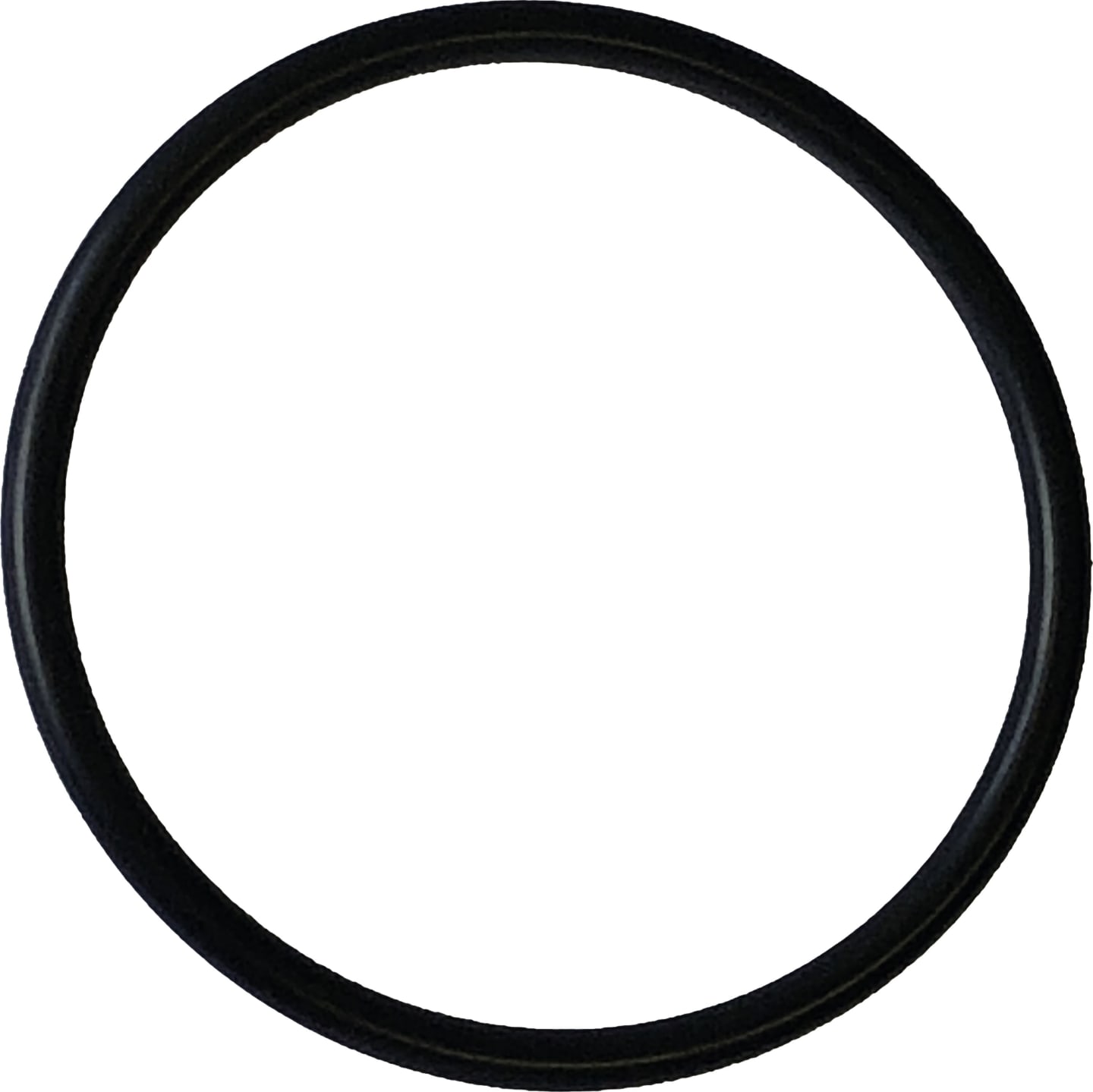 Solo® O-Ring 46 x 3 mm NBR, für Sprühgerät, 10642