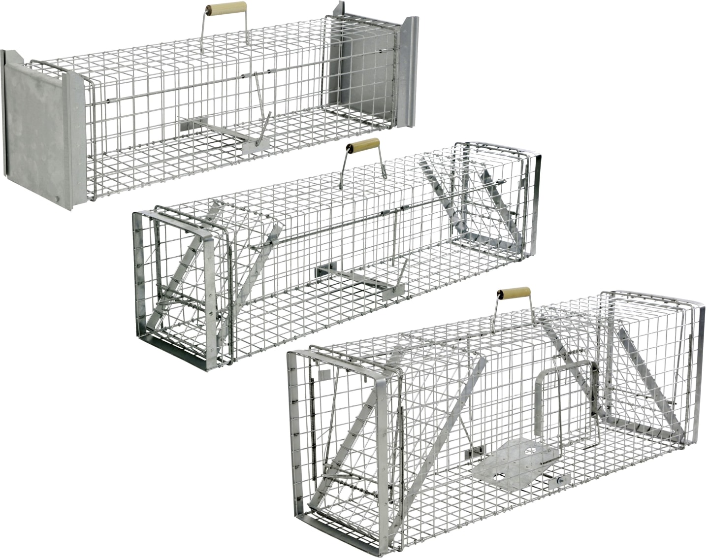 cit® Kastenfalle "Alive Predator Super"