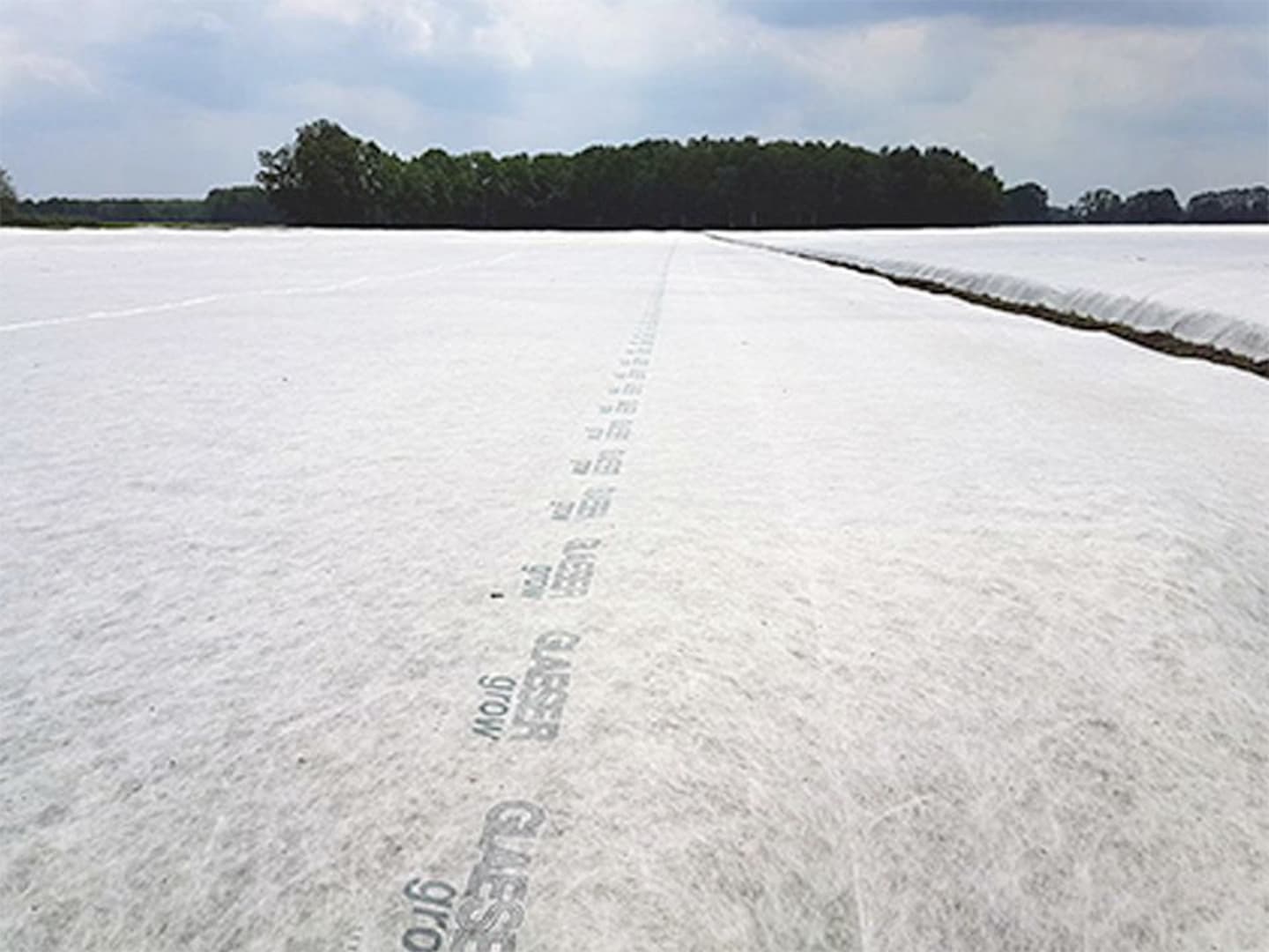Vlies 23 weiß 16,0 x 250 m