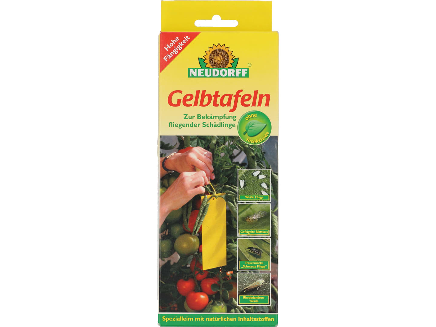 NEUDORFF Gelbtafel klein Schachtel