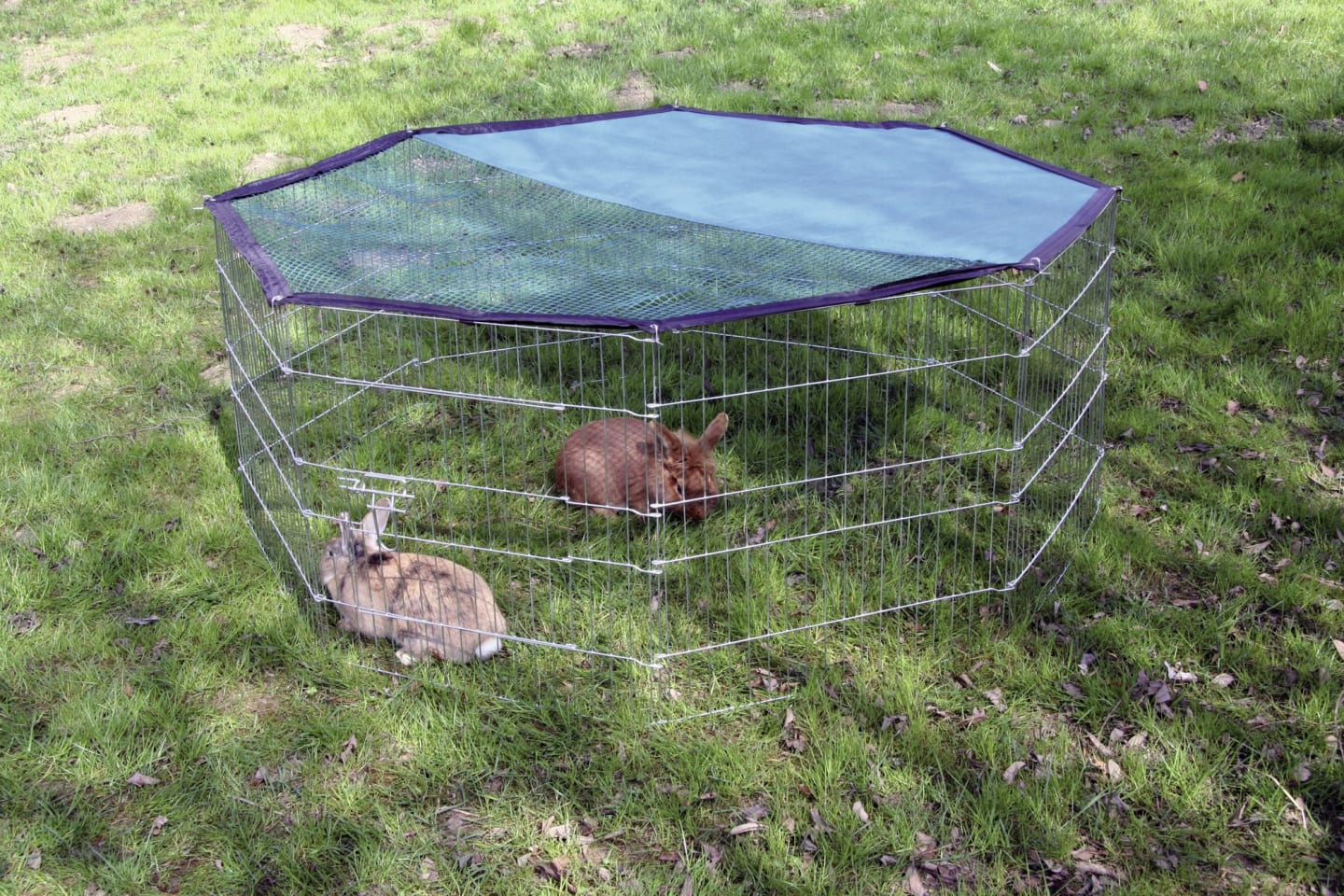 KERBL Freilaufgehege Ø 143 cm 8-eckig, für Kaninchen und Meerschweinchen, 82708