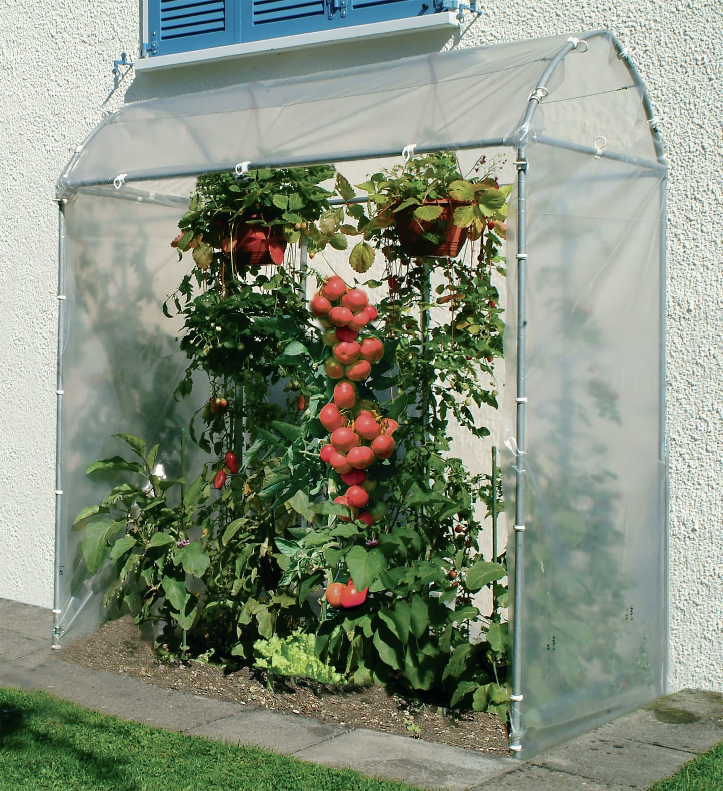Brühwiler Tomatenhaus