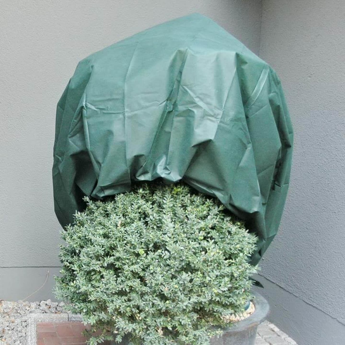 NOOR Wintervlies 34 grün 1,6 x 5 m Winterschutz