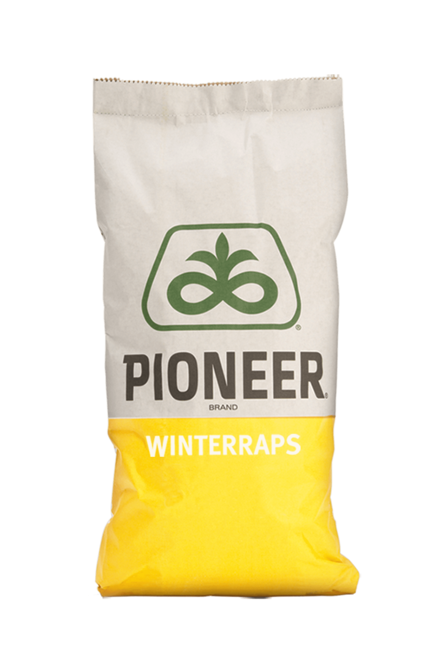 Winterraps Saatgut Pioneer PT302 Scenic Gold + Lumidapt Optima 2 Mio. Körner/EH
