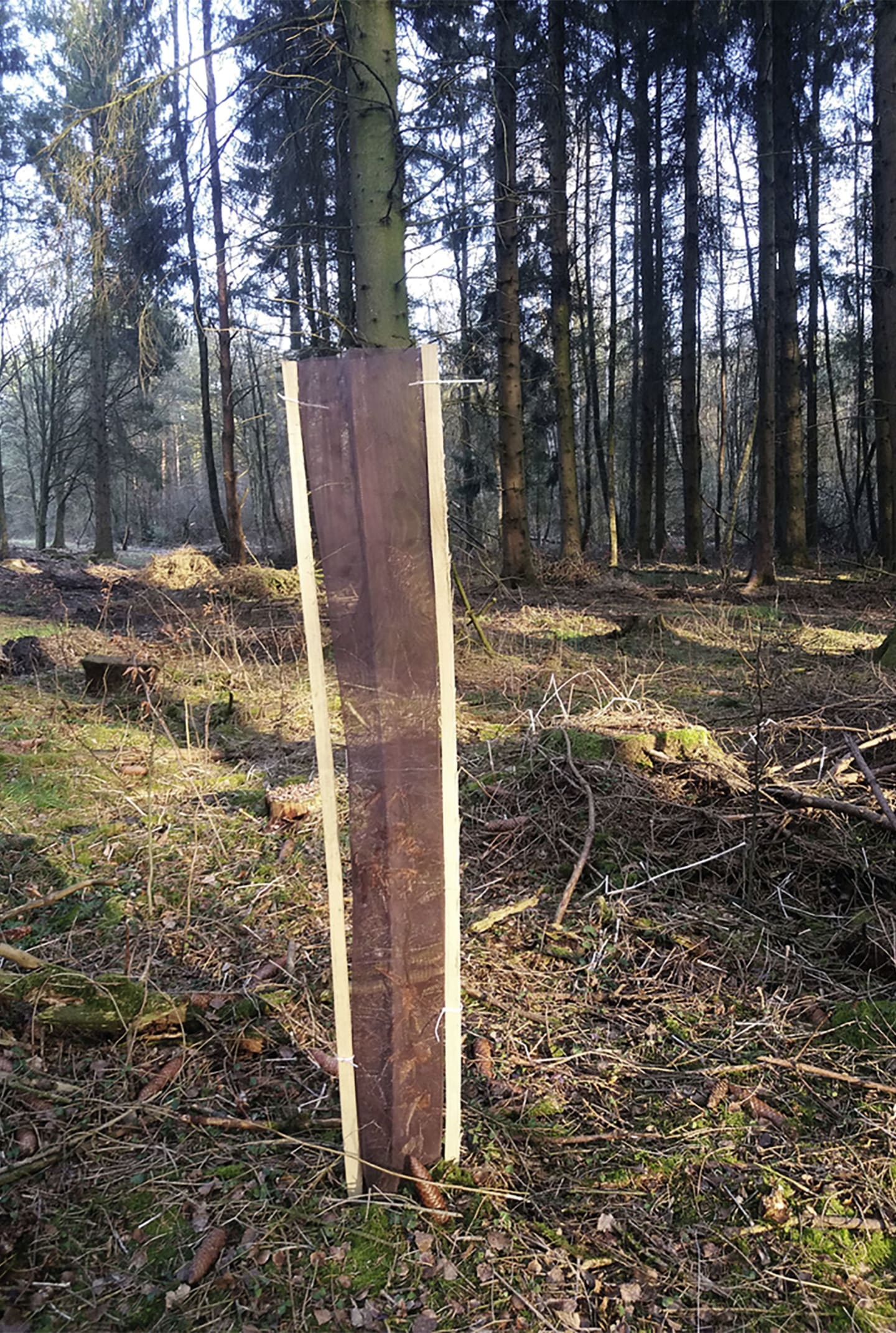 PlantaGard® Wuchshülle "Freiwuchs-Bio-Light 120" Ø 12 cm Höhe 120 cm, 1 St.