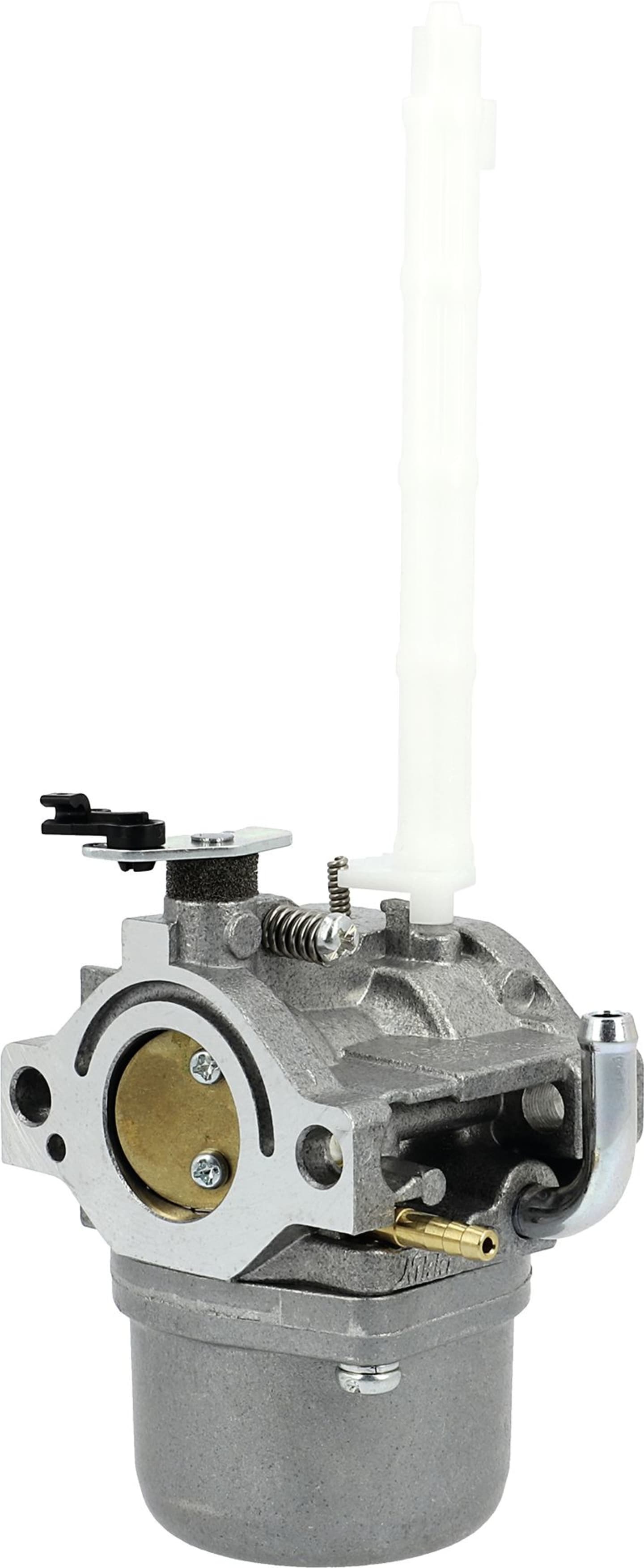 Briggs & Stratton Vergaser für Motor Serie 20, 796 122