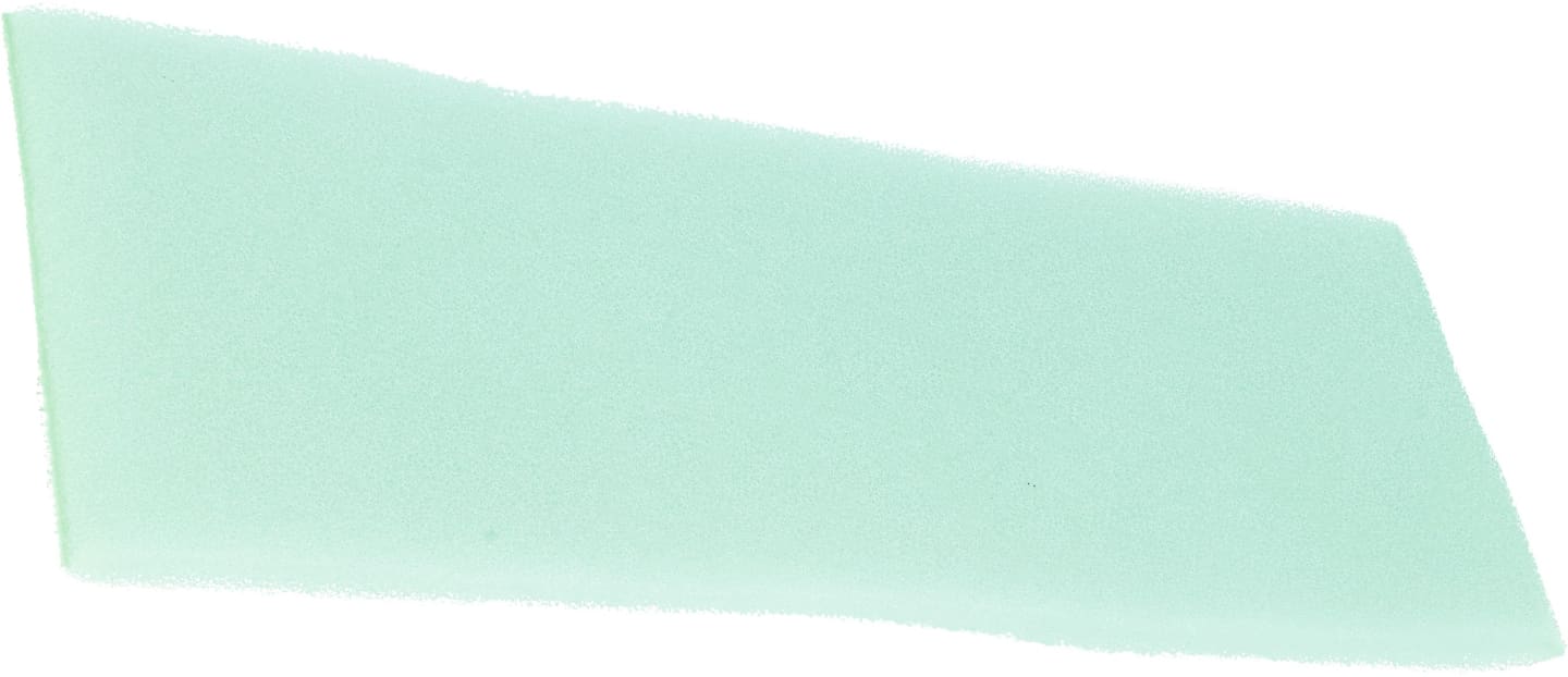 Briggs & Stratton Vorluftfilter für Motor 19, 25, 28A/B/C/D, Luftfilter 493910, 691667, 272477S, 272477S