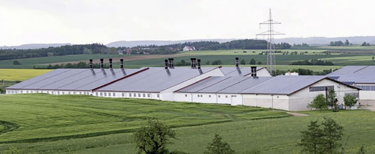 Schweinestall, Gebäudehülle/komplett schlüsselfertig