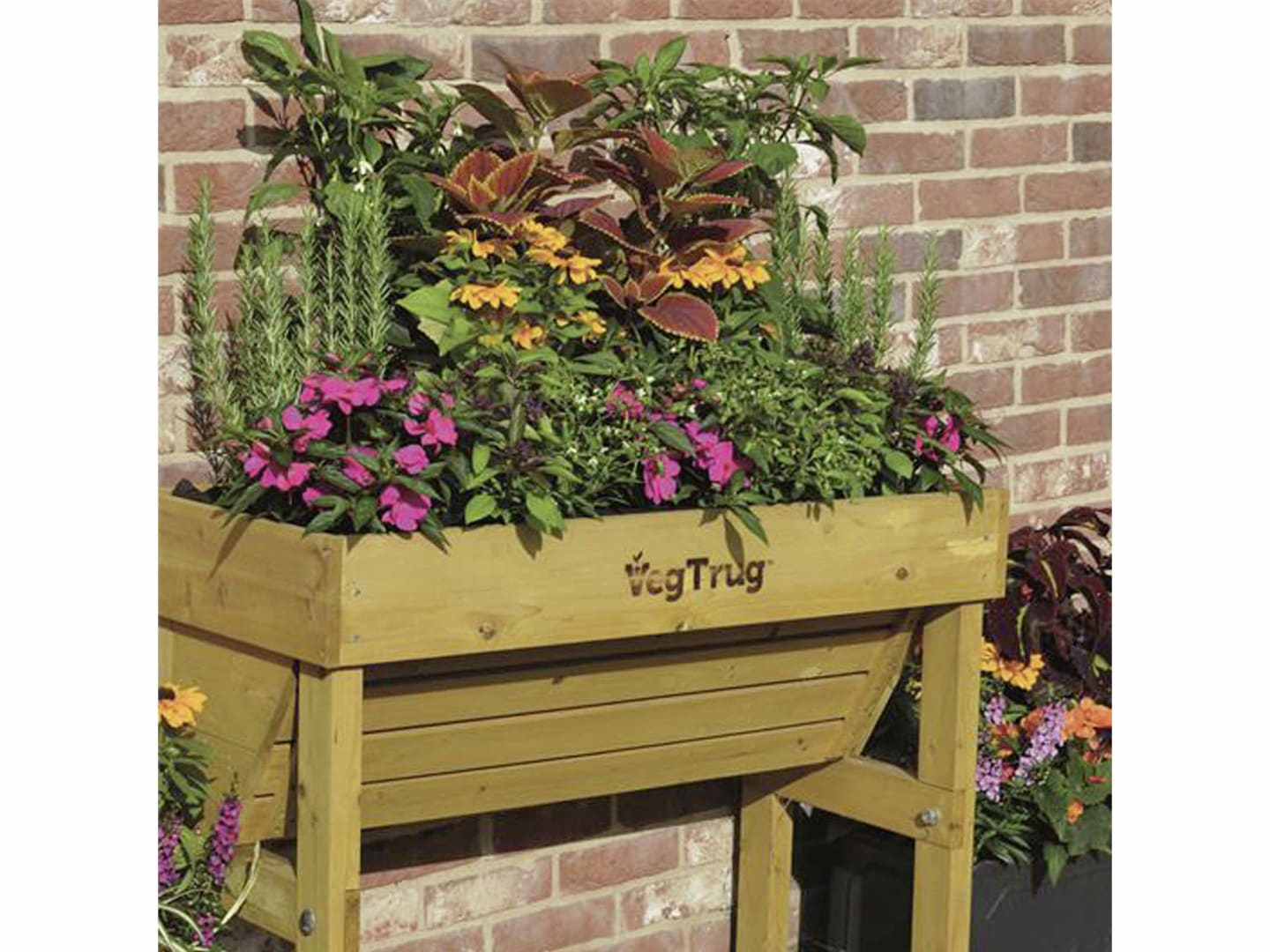 VegTrug Hochbeet "Wall Hugger" natur 103 x 80 x 46 cm für die Montage an die Wand, 4251638310160
