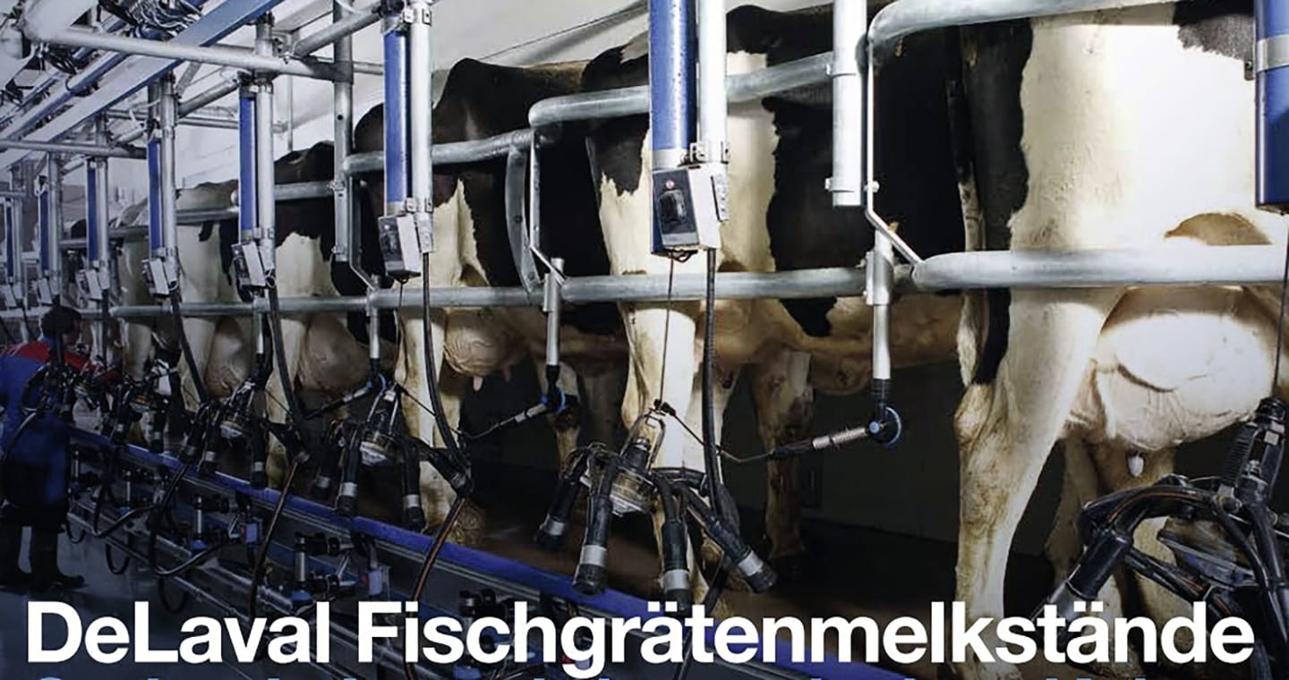 Fischgrätenmelkstand