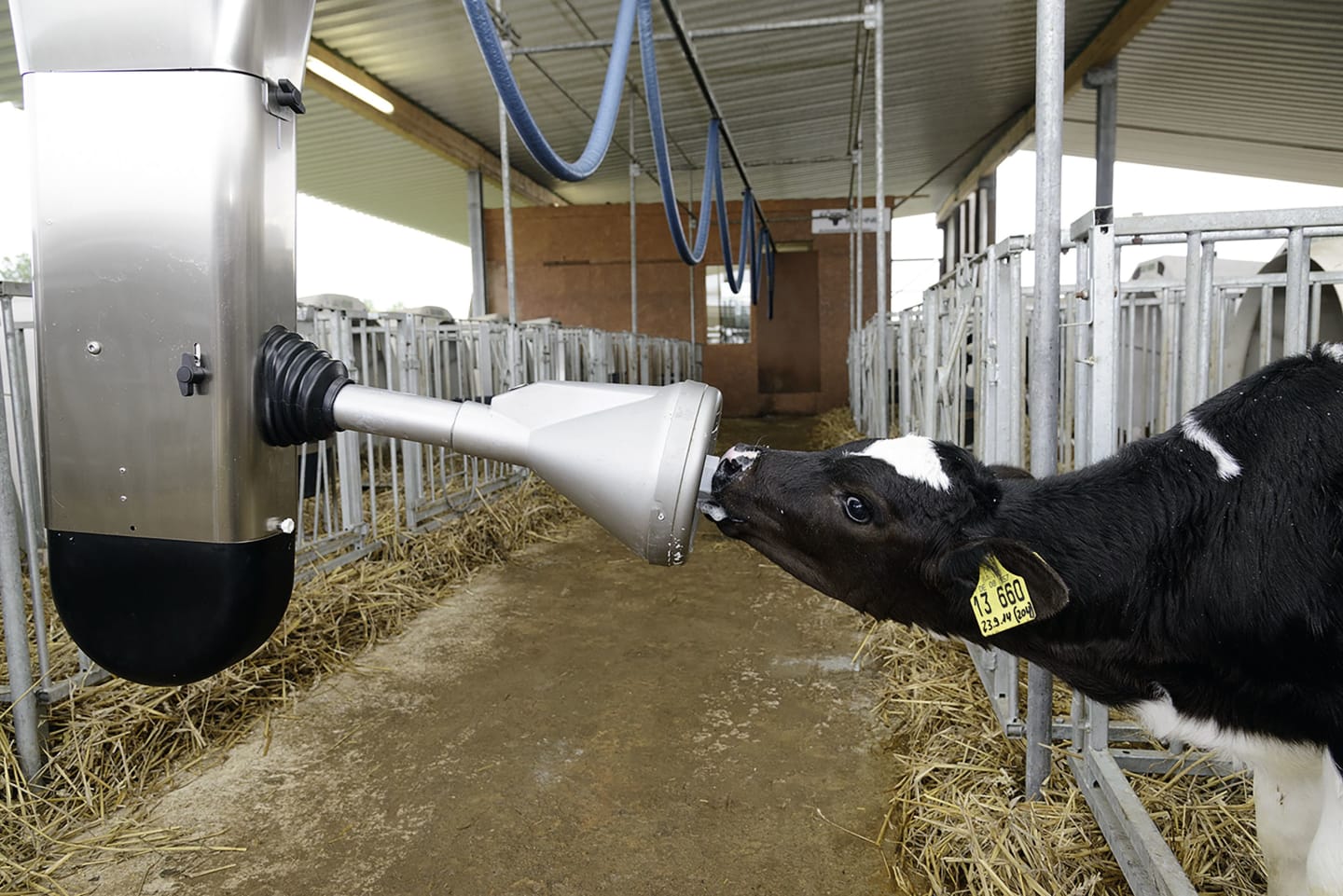 Roboterarm "Calf Feeder Rail CFR100" für Kälber