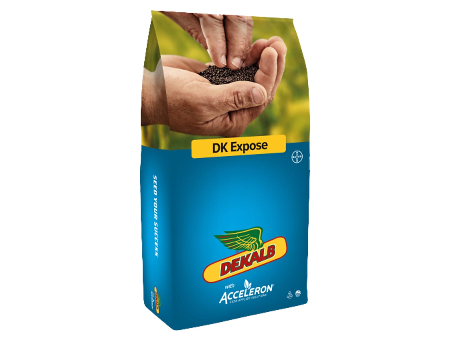 Winterraps Saatgut DEKALB DK EXPOSE Scenic Gold + Buteo Start (Acceleron Elite) 1.5 Mio. Körner/EH