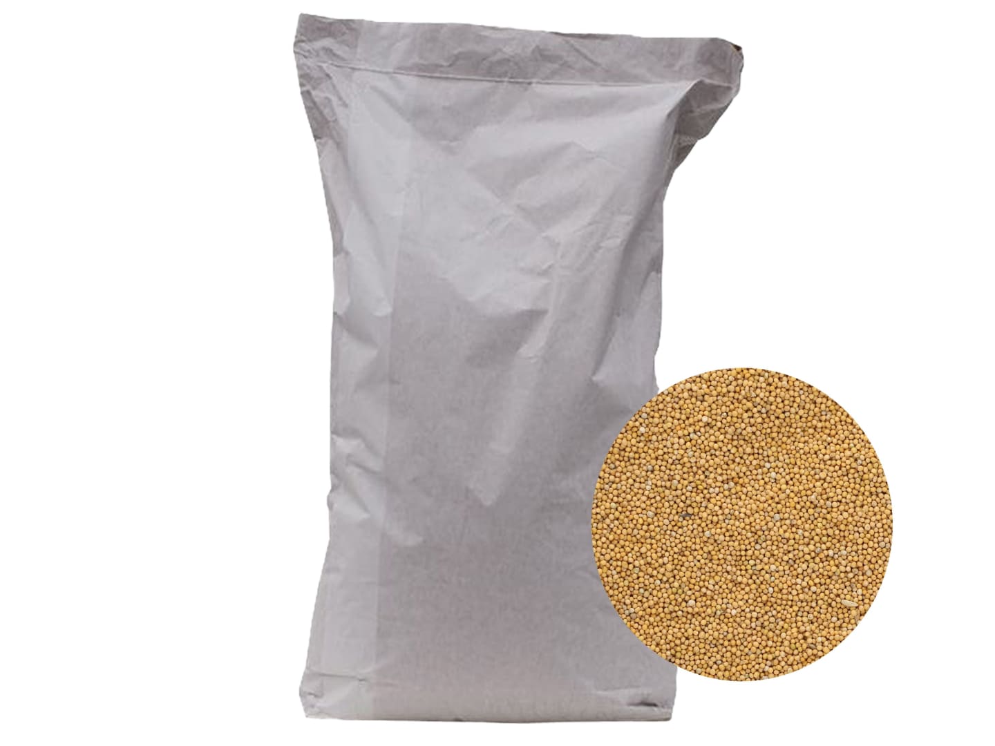 Senf Saatgut Signal ZS ungebeizt 25 kg Sack