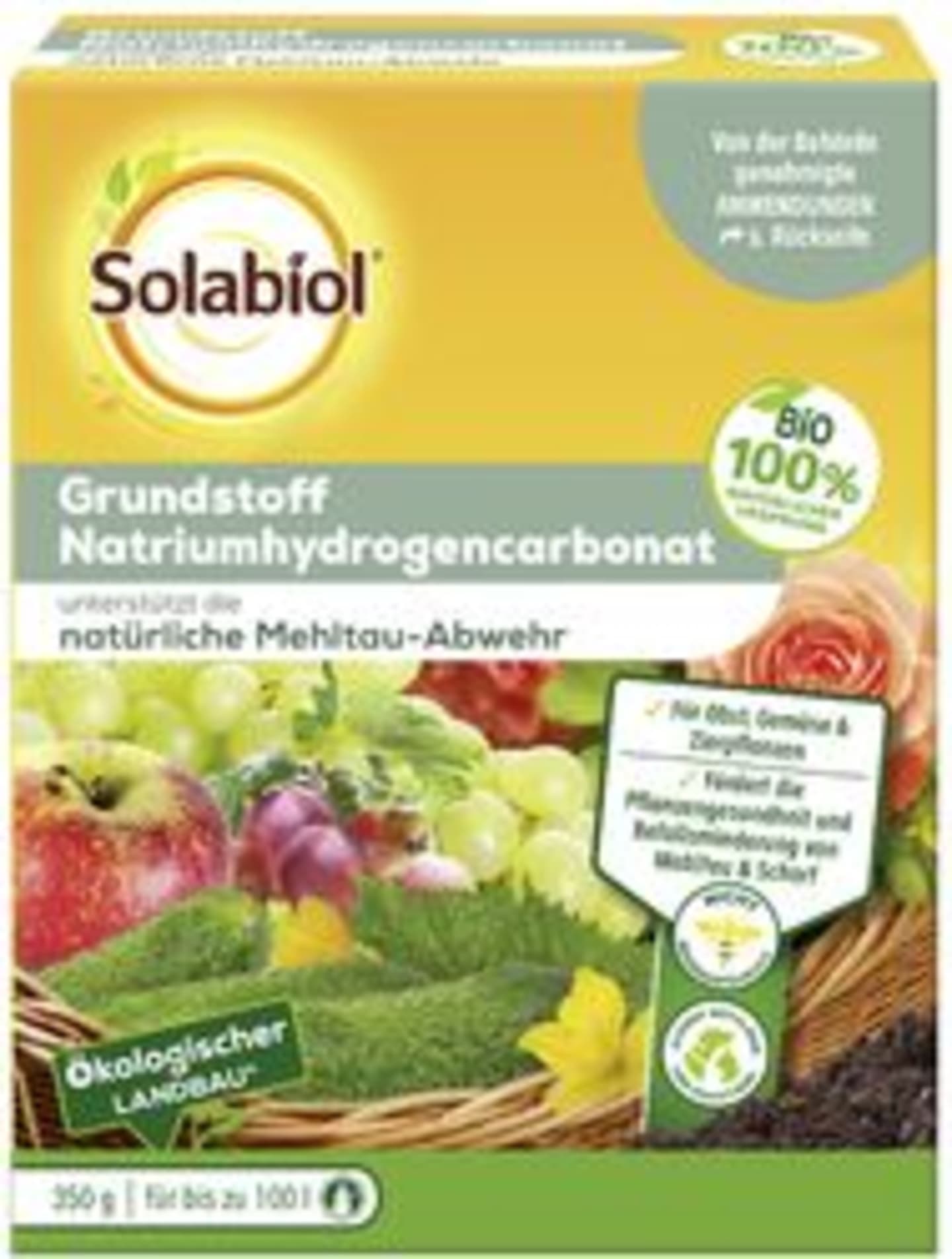 Solabiol Grundstoff Natriumhydrogencarbonat 350 g