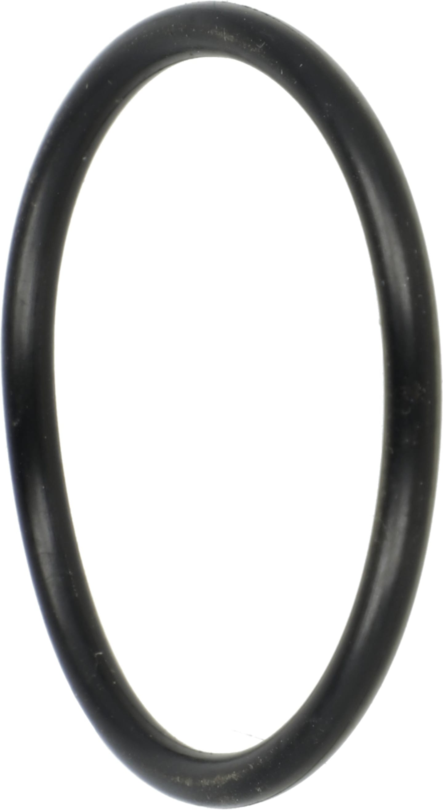 Rau O-Ring 38 x 3 mm NBR, für Druckregler, Filterhahn, Pumpe Feldspritze, RG00005244