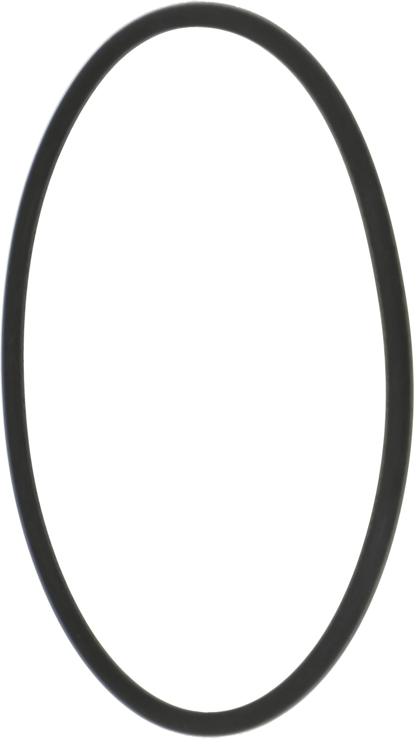 Rau O-Ring 94,85 x 3,53 mm Viton®, für Becher Filterhahn Feldspritze, RG00018769