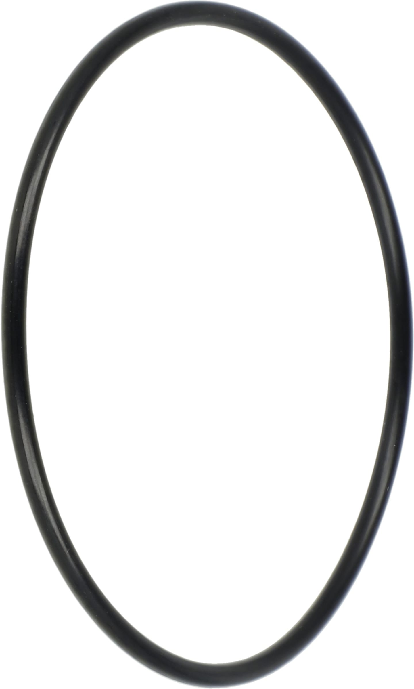 Rau O-Ring 52 x 2 mm NBR, für Regelgehäuse Feldspritze, RG00026014