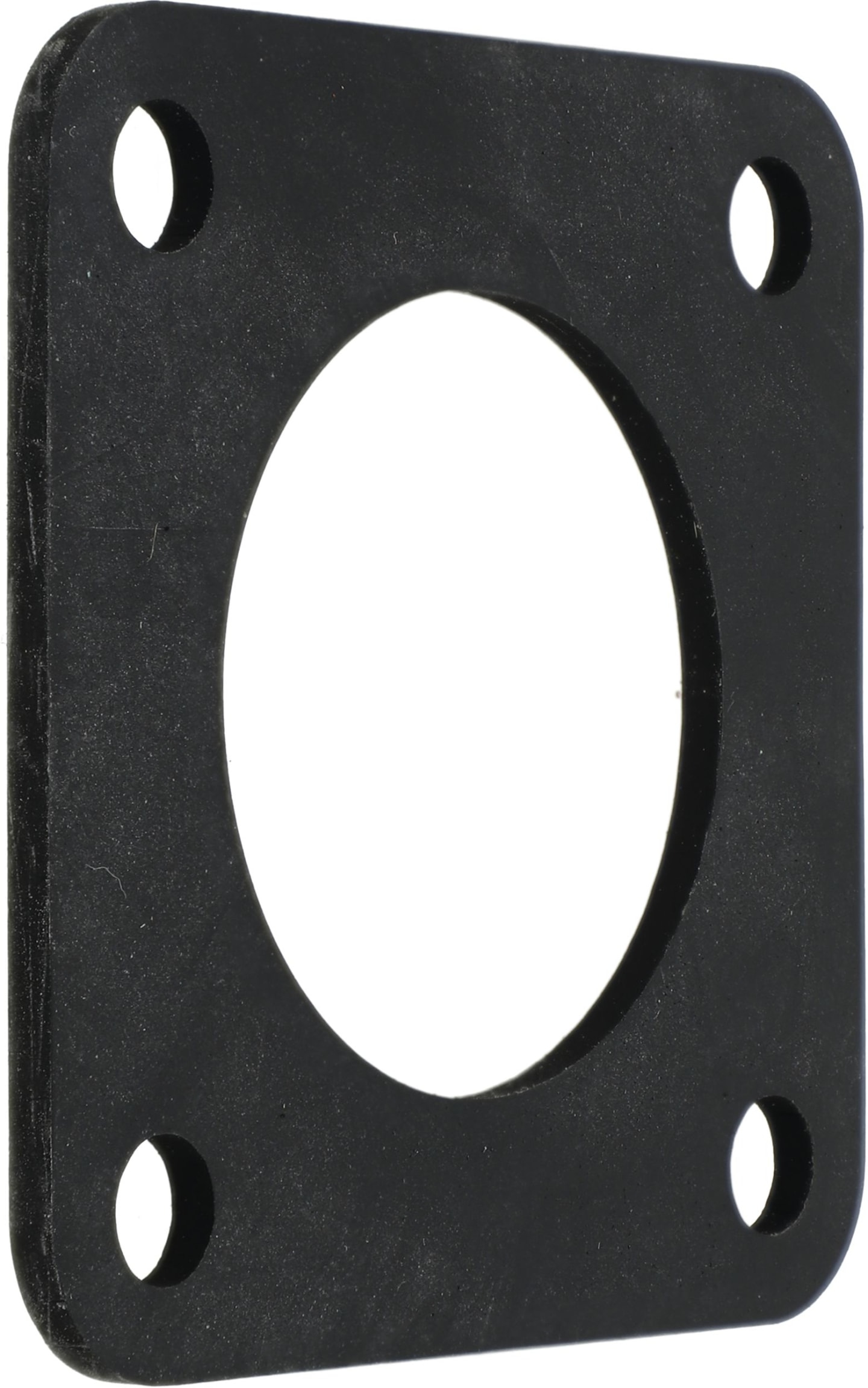 Rau Dichtung für Spülbehälter, Filterhahn Feldspritze, RG00051859