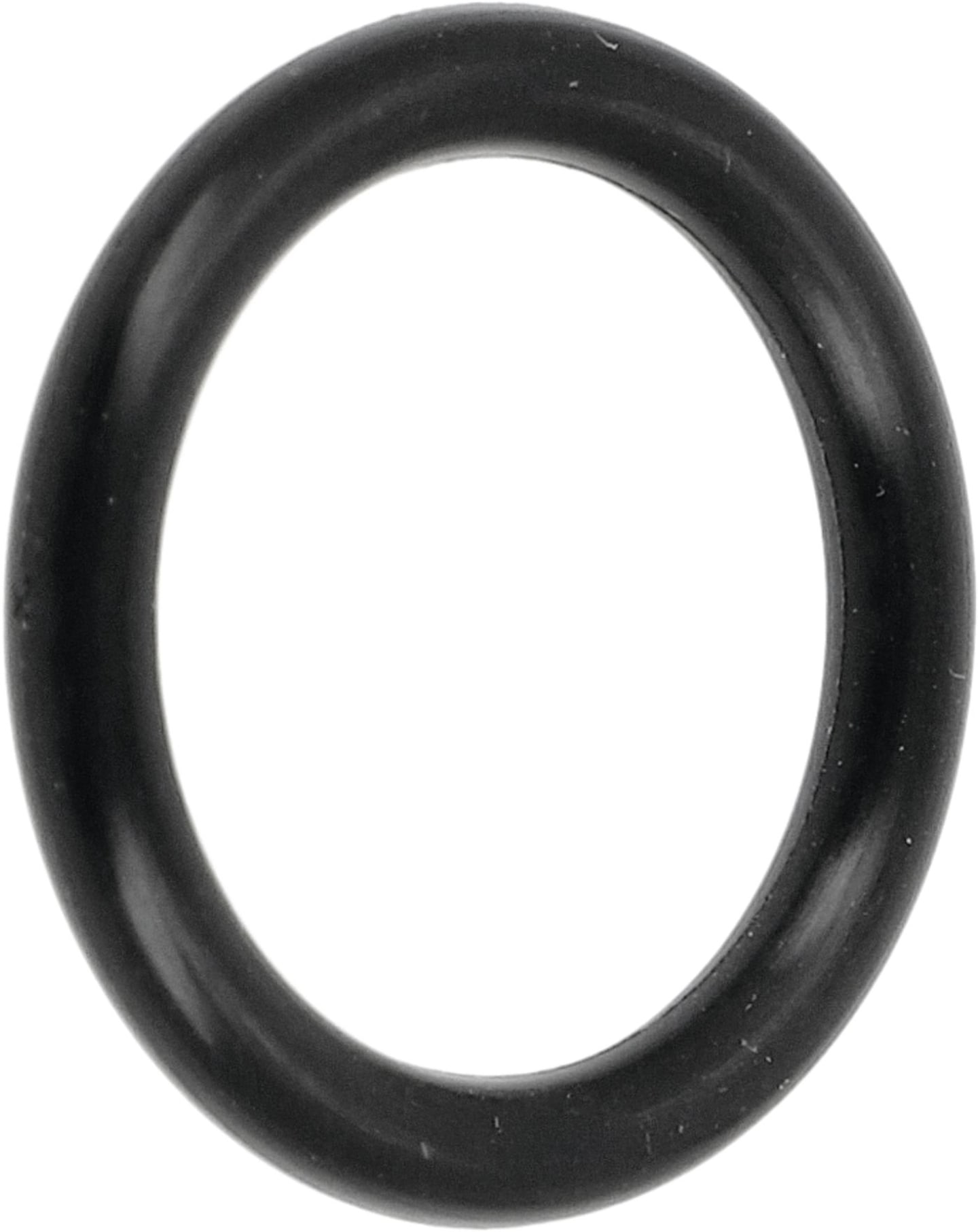 Rau O-Ring 21,3 x 3,6 mm, NBR, für Düsenrohr Feldspritze, RG00062185