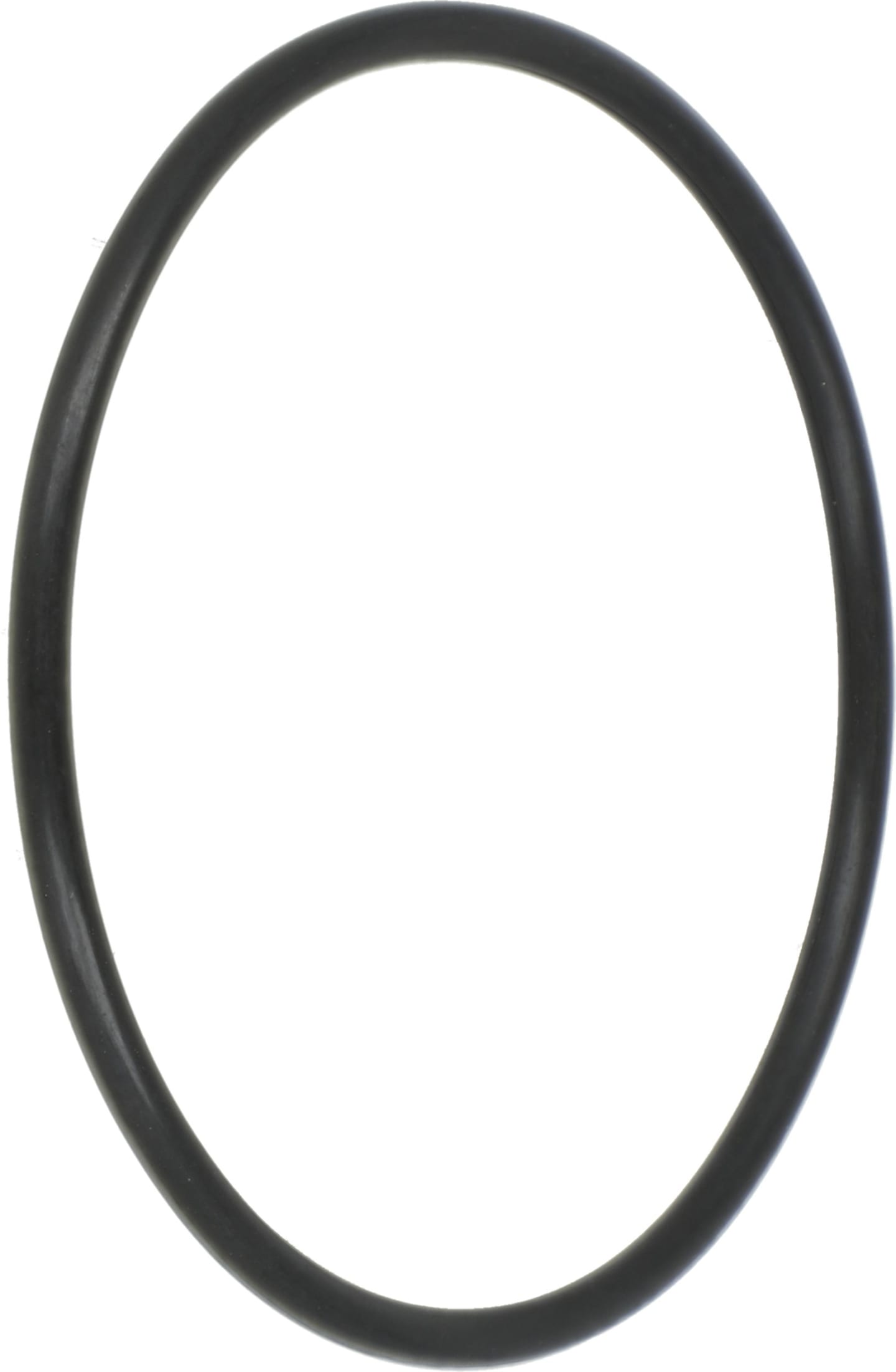 Rau O-Ring 55,25 x 2,62 mm FPM 75 (Viton®), für Filterträger Druckfiltereinheit Feldspritze, RG00047512