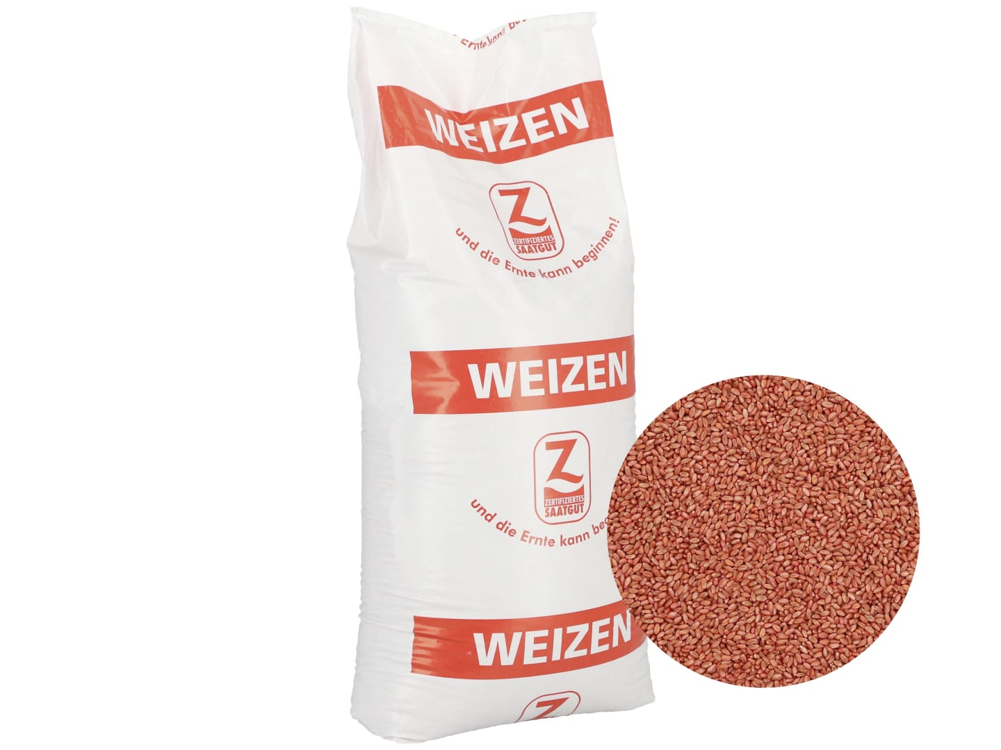 Winterweizen Saatgut Polarkap ZS Landor CT 30 kg Sack (A-Weizen)