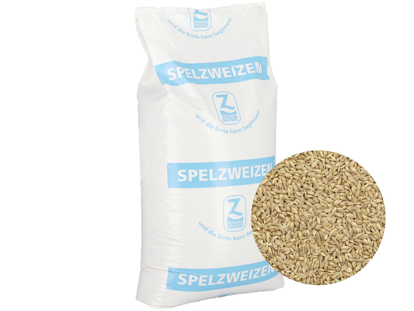 Dinkel Saatgut Hohenloher ZS Bio (im Spelz) ungebeizt 25 kg Sack