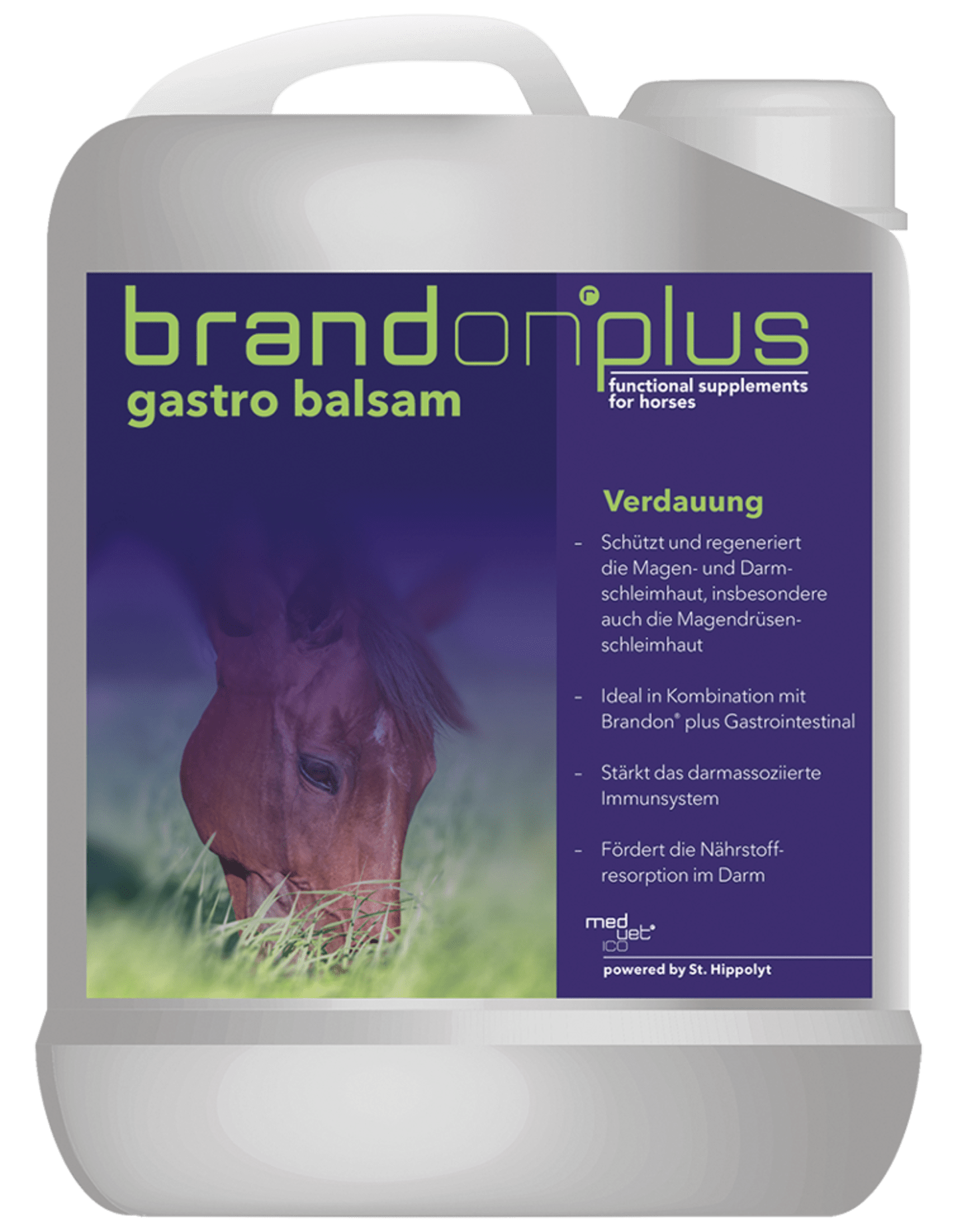 St. Hippolyt Medvetico Brandon plus Gastro Balsam Ölmischung mit Sanddorn 2,5 l Kanister
