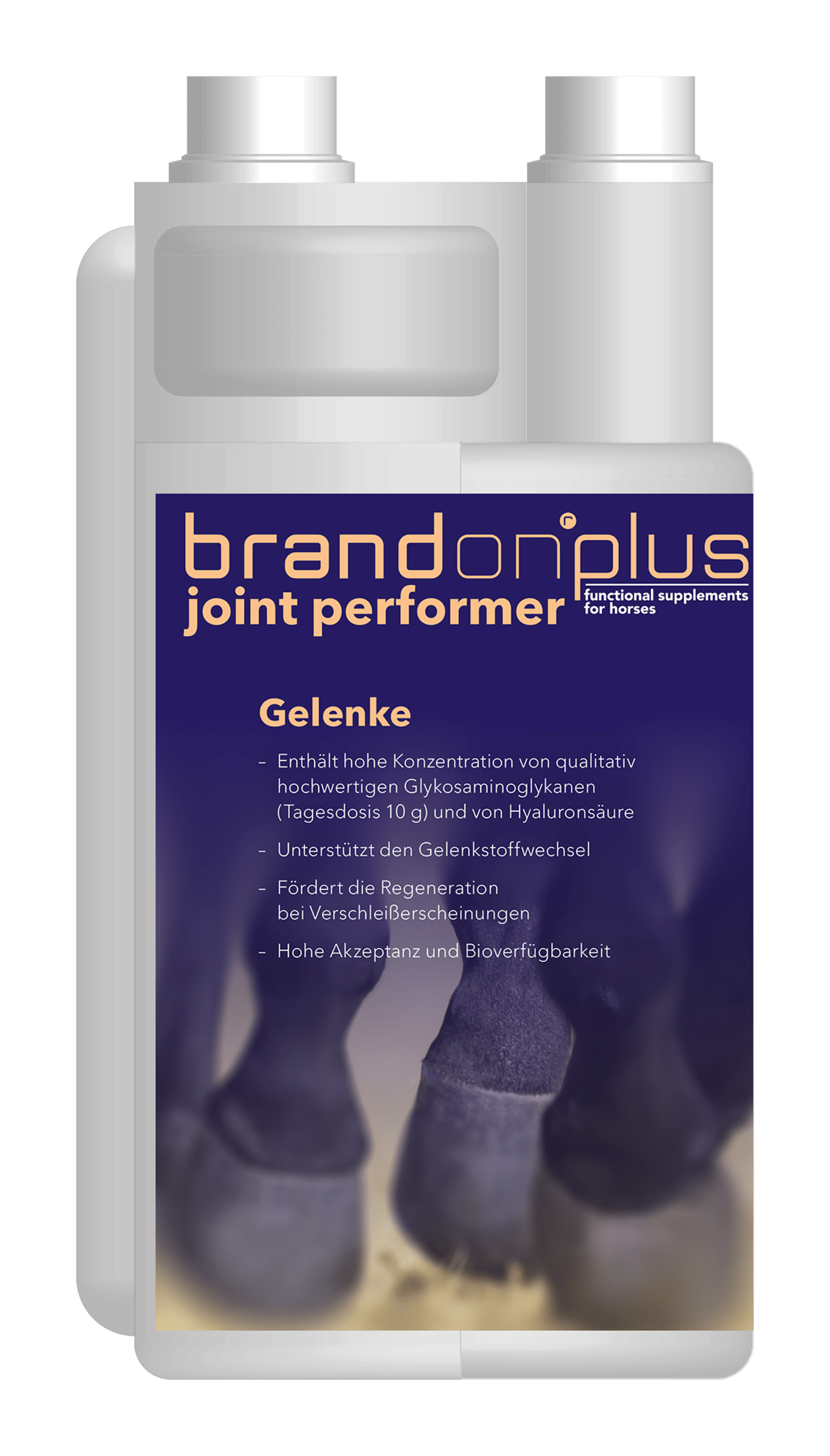 St. Hippolyt Medvetico Brandon plus joint perfomer 1,2 l Flasche mit Wirkstoffen für Sehnen und Bänder von Pferden flüssig